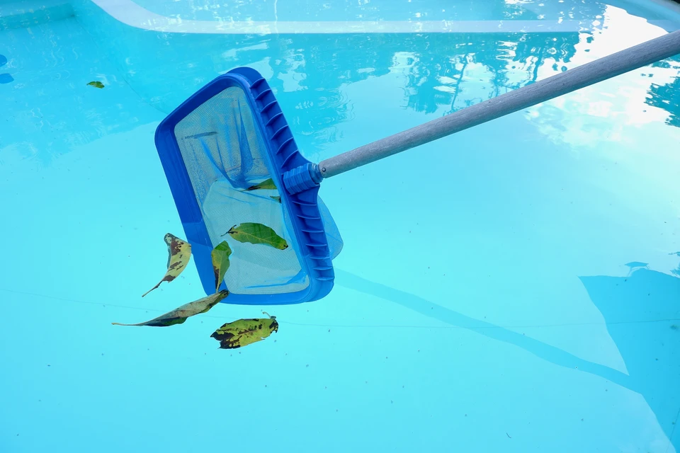 Piscine extérieure avec épuisette bleue récupérant feuilles mortes et débris végétaux